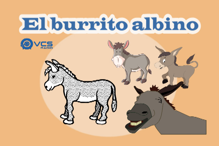 EL BURRITO ALBINO - Cuento infantil