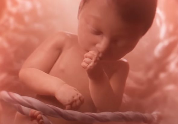 Captura de Pantalla. Una mirada inédita a la vida humana en el vientre materno | Baby Olivia